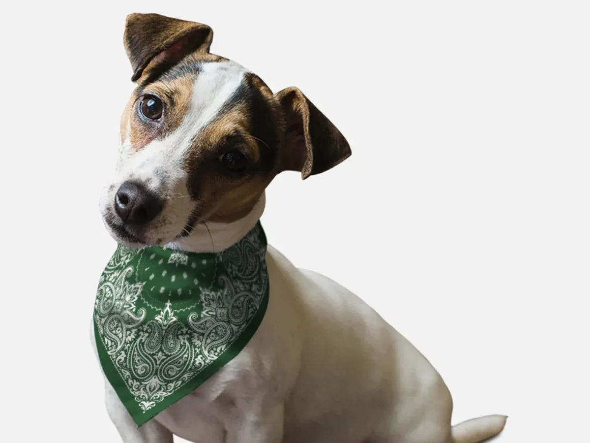 BanDoggie Hunter Green Paisley Western Dog Bandana