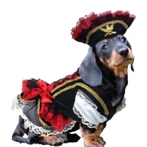 Swashbuckler Pirate Costume