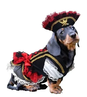 Swashbuckler Pirate Costume