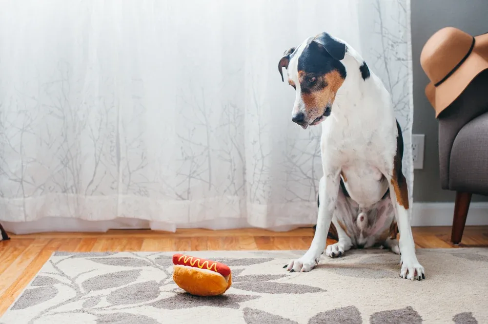 American Classic Hot Diggy Dog - Image 2