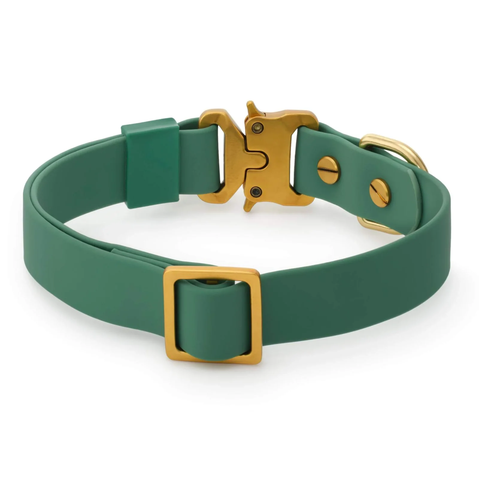 Active Flex Dog Collar, Fern - Image 2