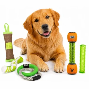 Pet Life ® 5-Piece Rugged Nylon and Rubber Plush Squeak Tug and Fetch Dog Toy Set - Green and Orange