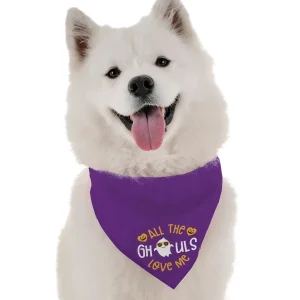 BanDoggie All the Ghouls Love Me Halloween Dog Bandana