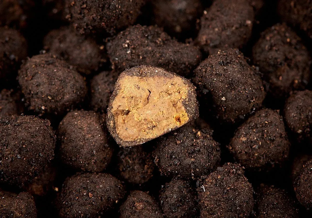 Aquario Neo Plant Soil - Image 2