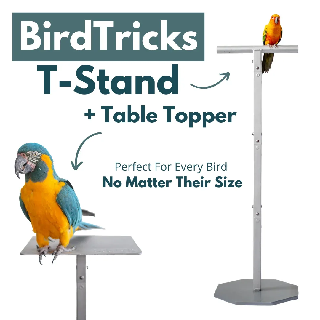 Training Stand - Image 2