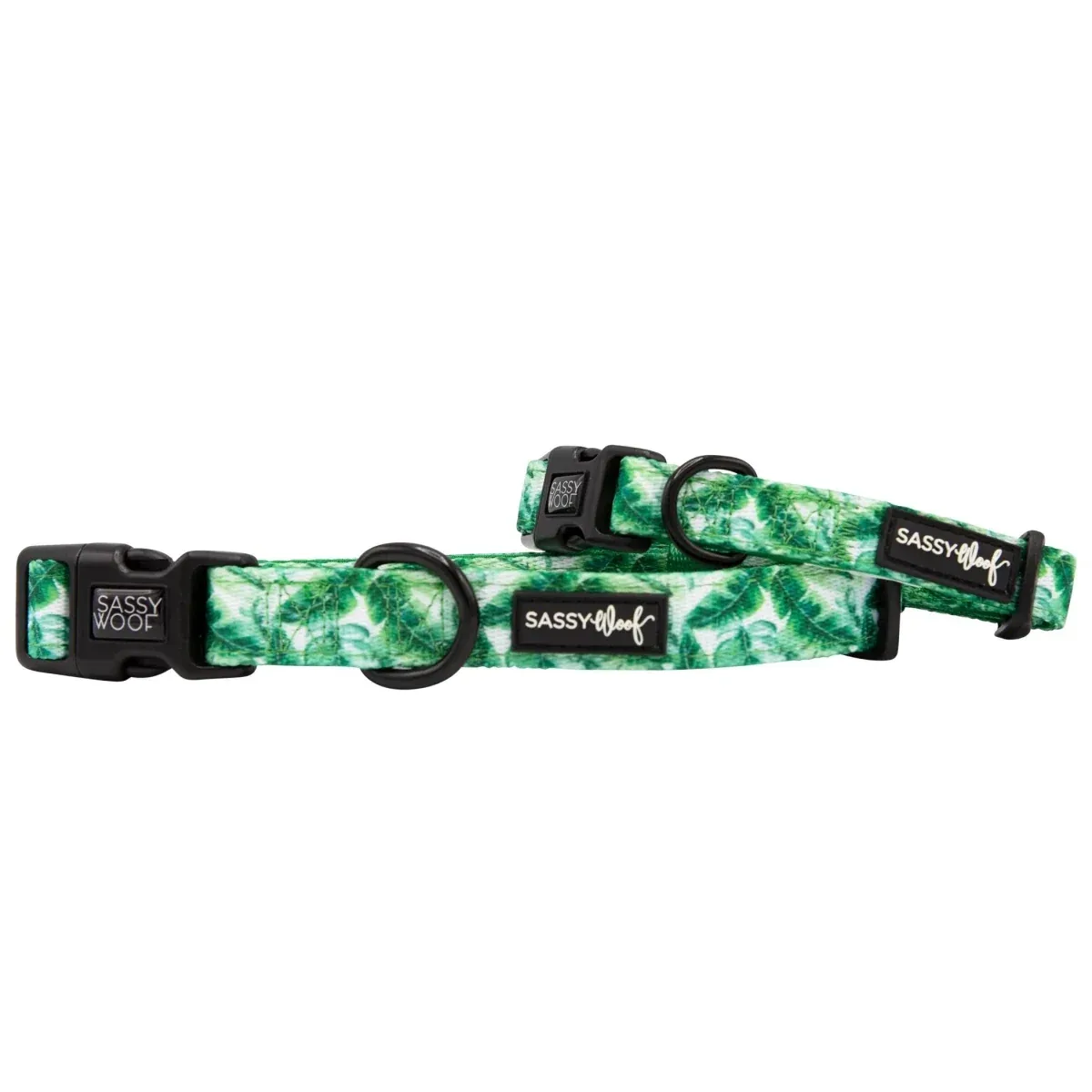 Sassy Woof Dog Collars - Image 2