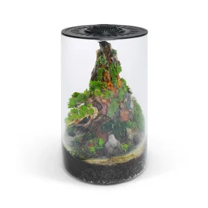 Bio Cylinder Terrarium Kit