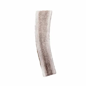 KONG Wild Antler Split