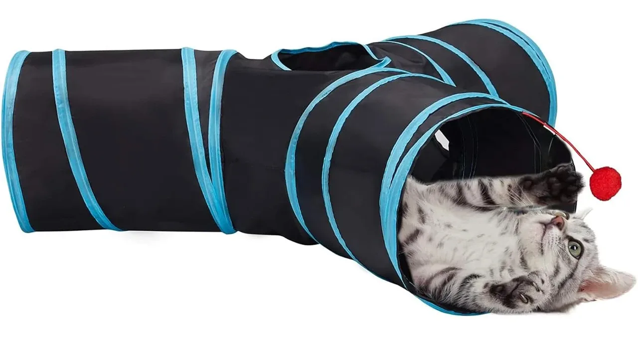Collapsible Cat Tunnel with toy ball for Indoor Cats