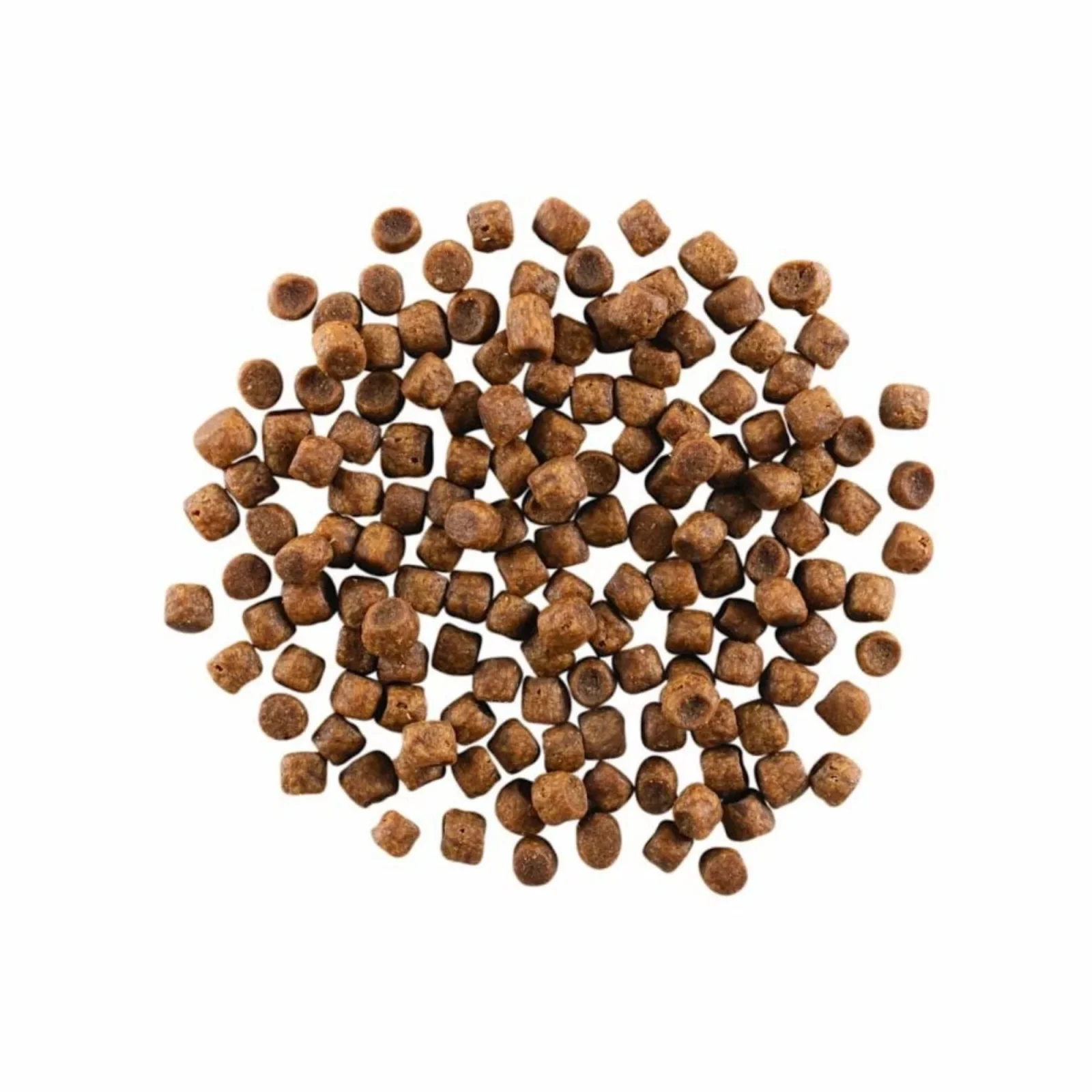 Go! Solutions Cat Carnivore Grain-Free Dry Cat Food - Chicken, Turkey and Duck, 16 lb - Image 2