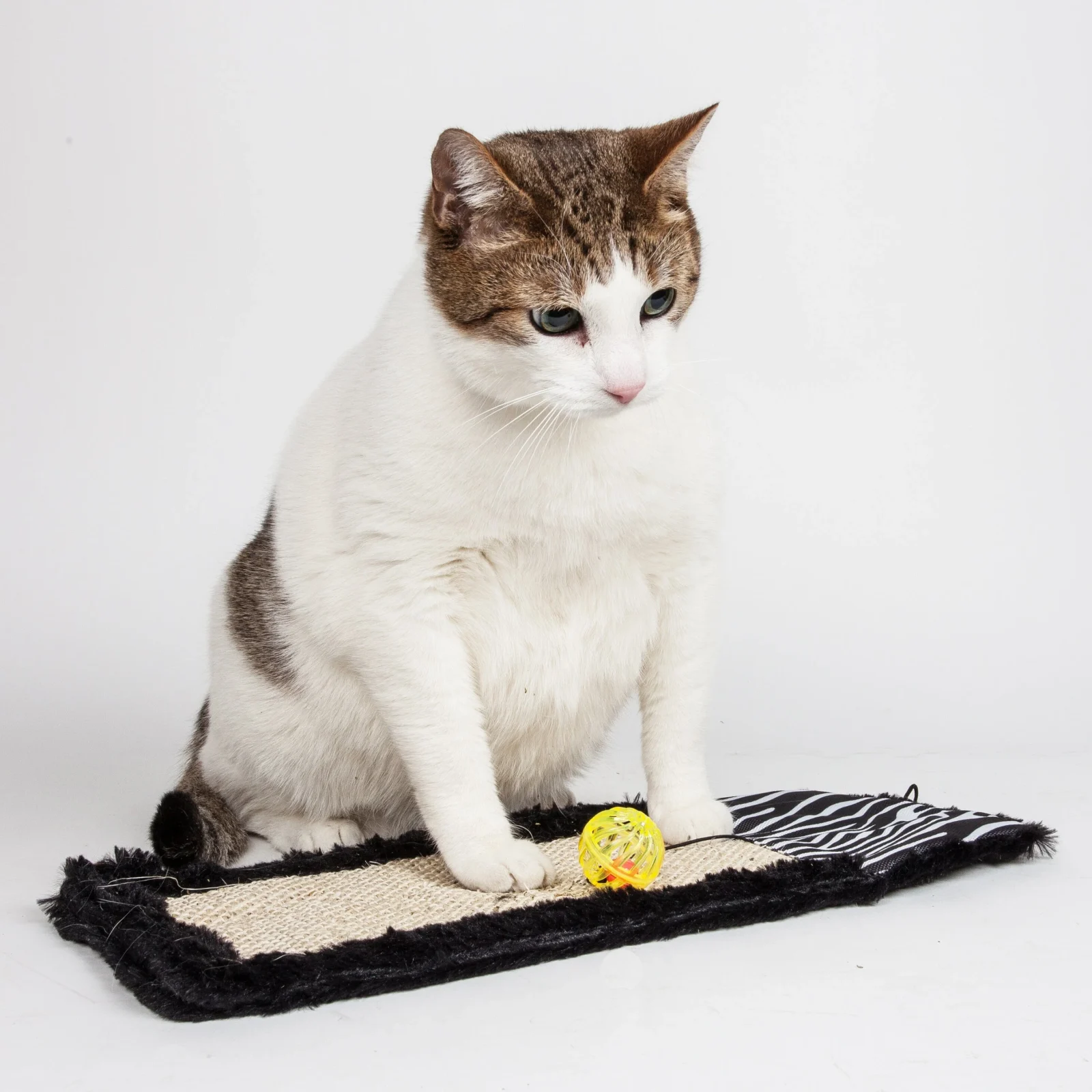 Pet Life ® Hanging Carpet Cat Scratcher Lounger and Cat Toy - 2 Piece Set - Image 2