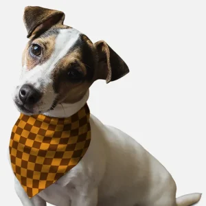 1930s Retro Style Dog Bandana by Bandoggies