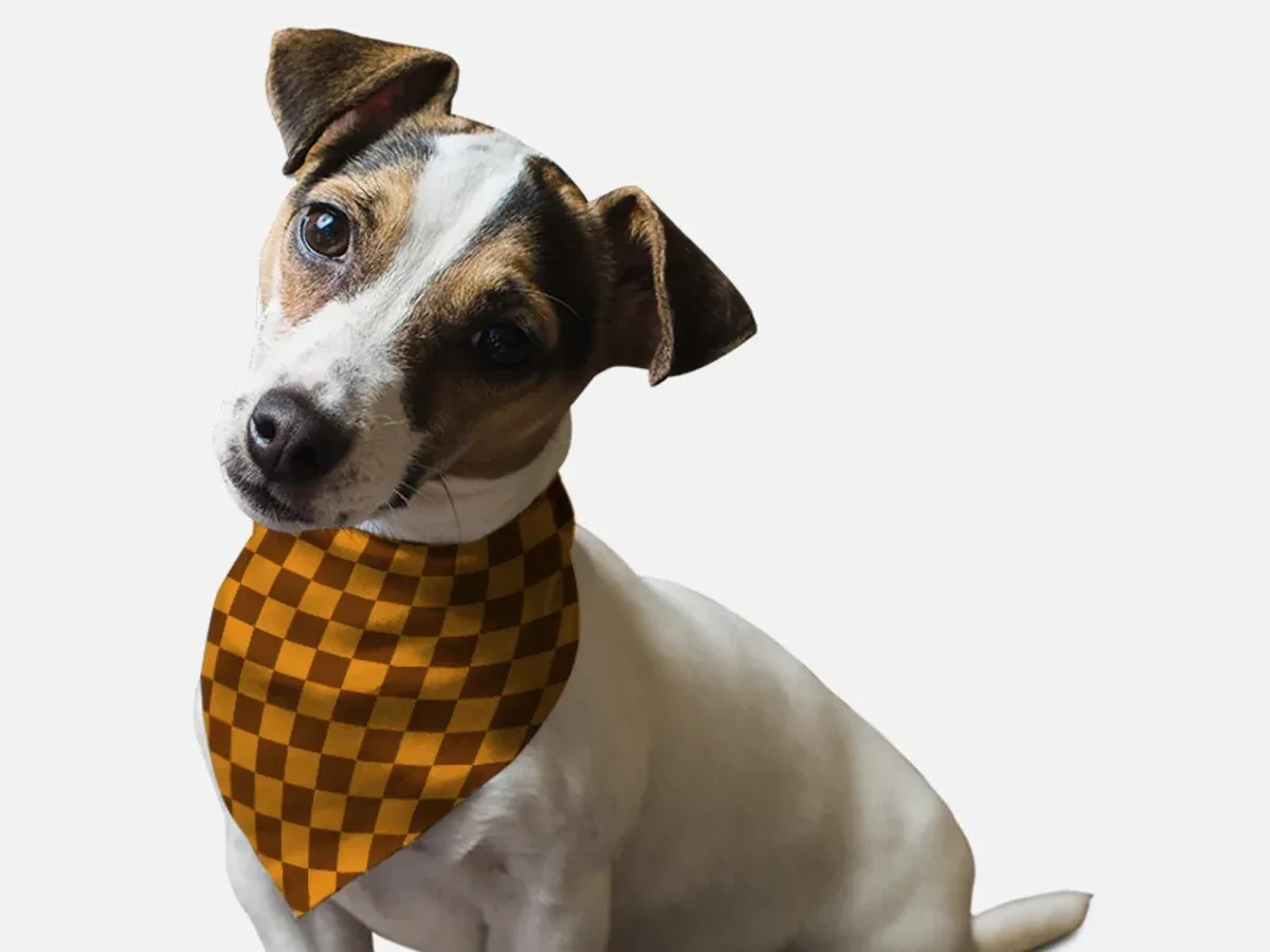 1930s Retro Style Dog Bandana by Bandoggies