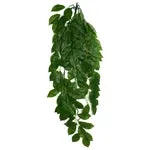 Komodo Green Leaf Hanging Plant Large, 26 in - Image 2