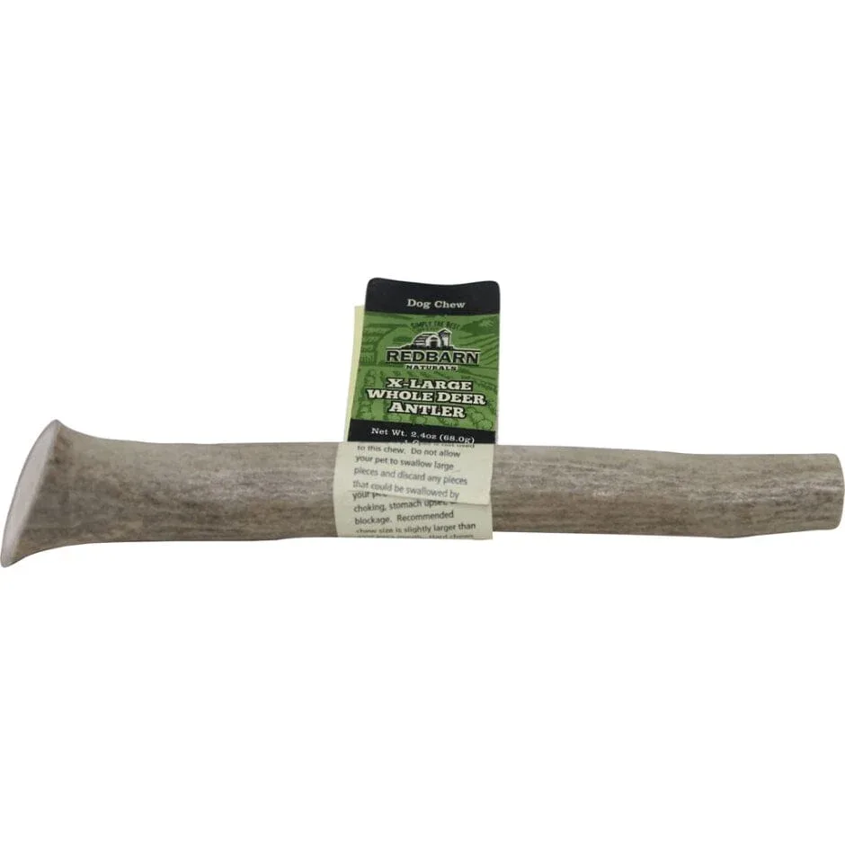Red Barn Whole Deer Antler Natural Dog Chew - Image 2