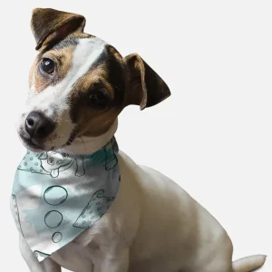 Tasty Dog Treats Summer Dog Bandana by BanDoggie