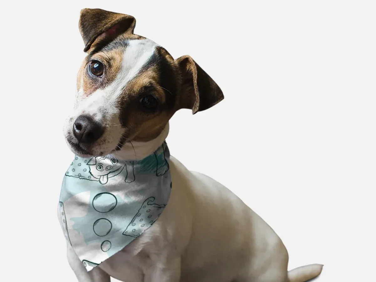 Tasty Dog Treats Summer Dog Bandana by BanDoggie