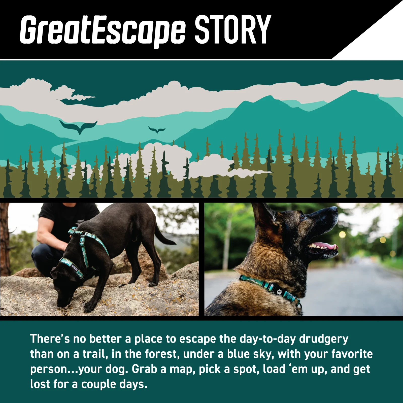 GreatEscape Dog Harness - Image 2