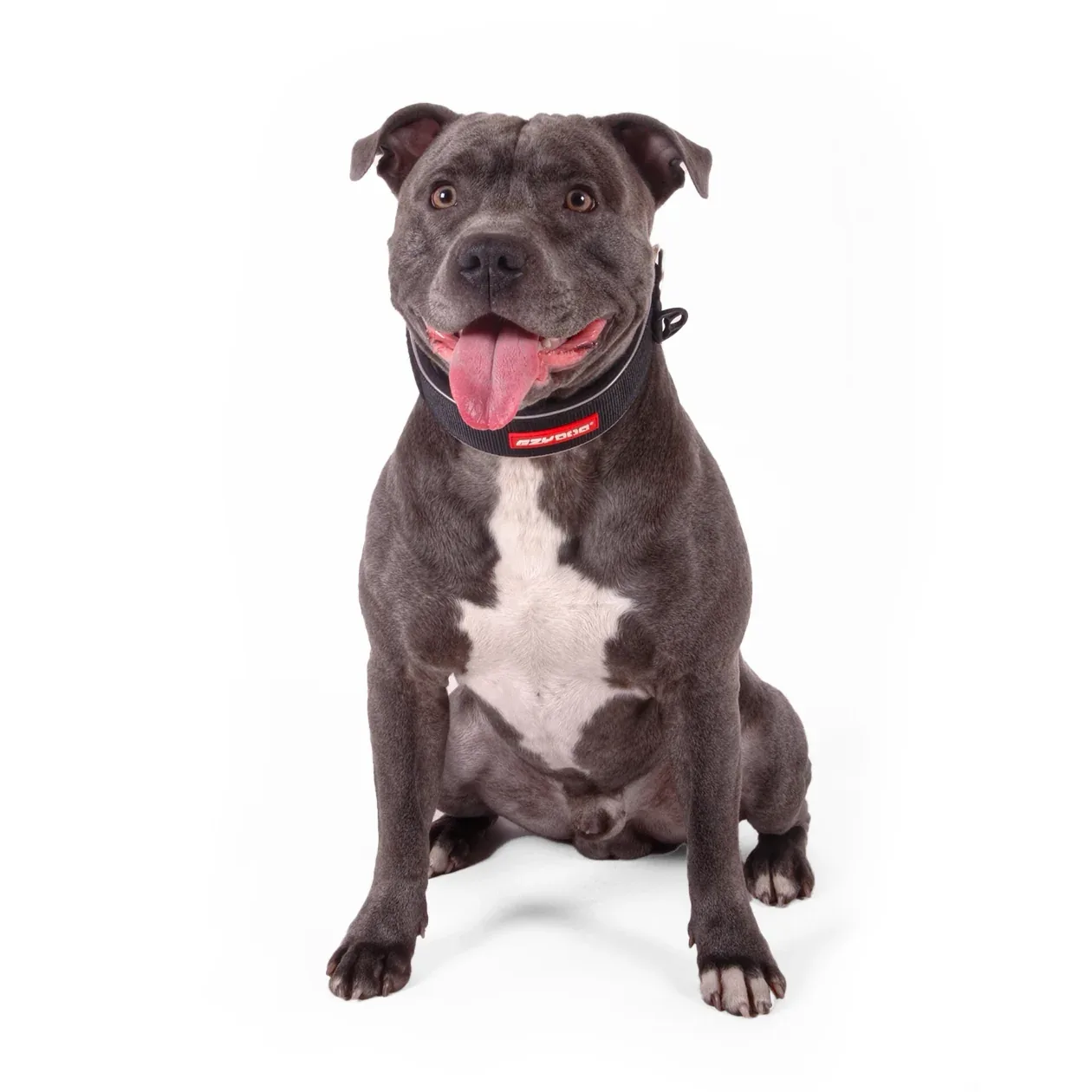 Neo Collar™ Wide - Image 2