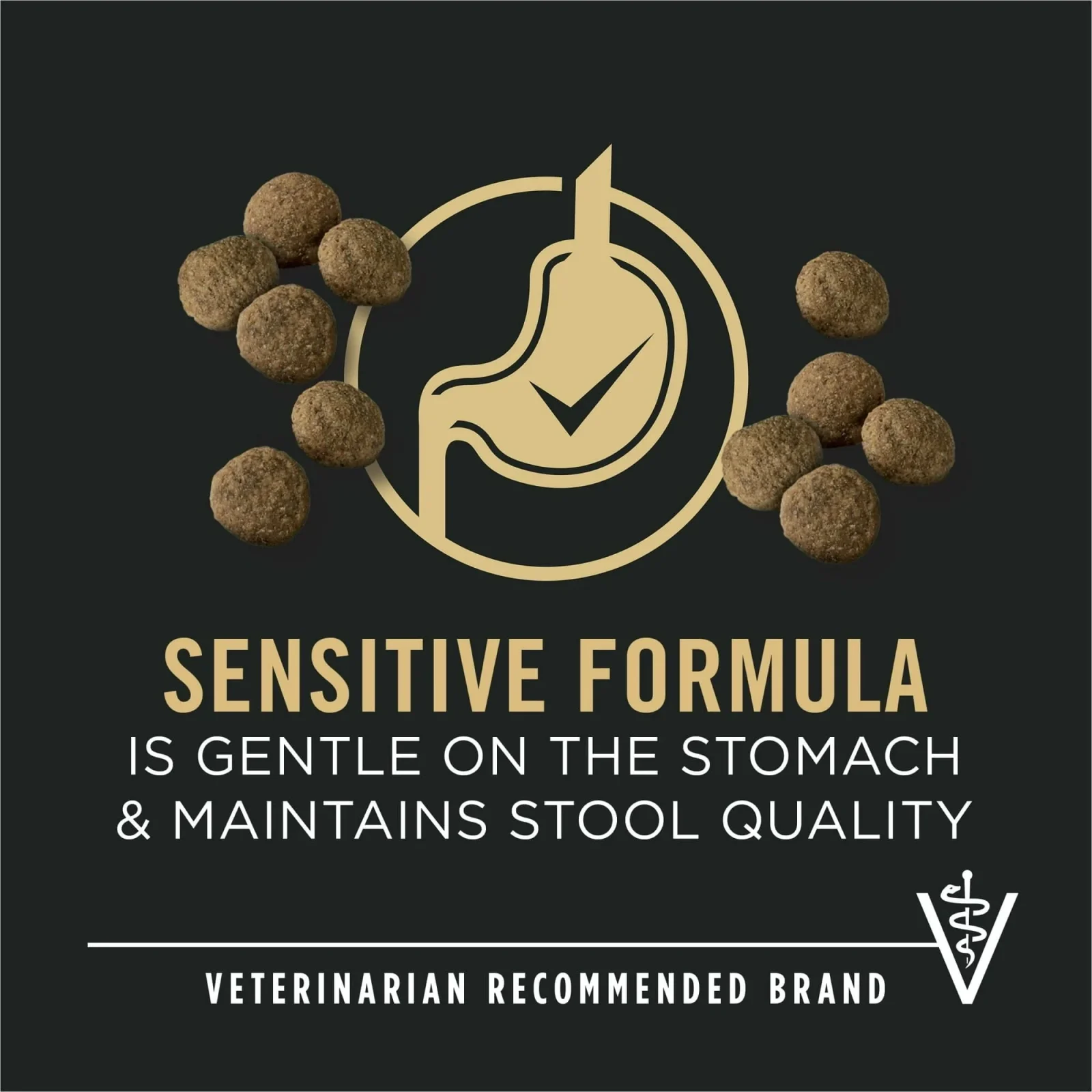 Purina Pro Plan Sensitive Skin and Stomach Salmon and Rice Large-Breed Adult Dry Dog Food - Image 2