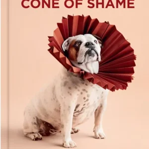 Cone of Shame by Winnie Au