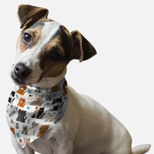 BanDoggie Tabby Dog Bandana - Fun Cat Print Microfiber Pet Bandana