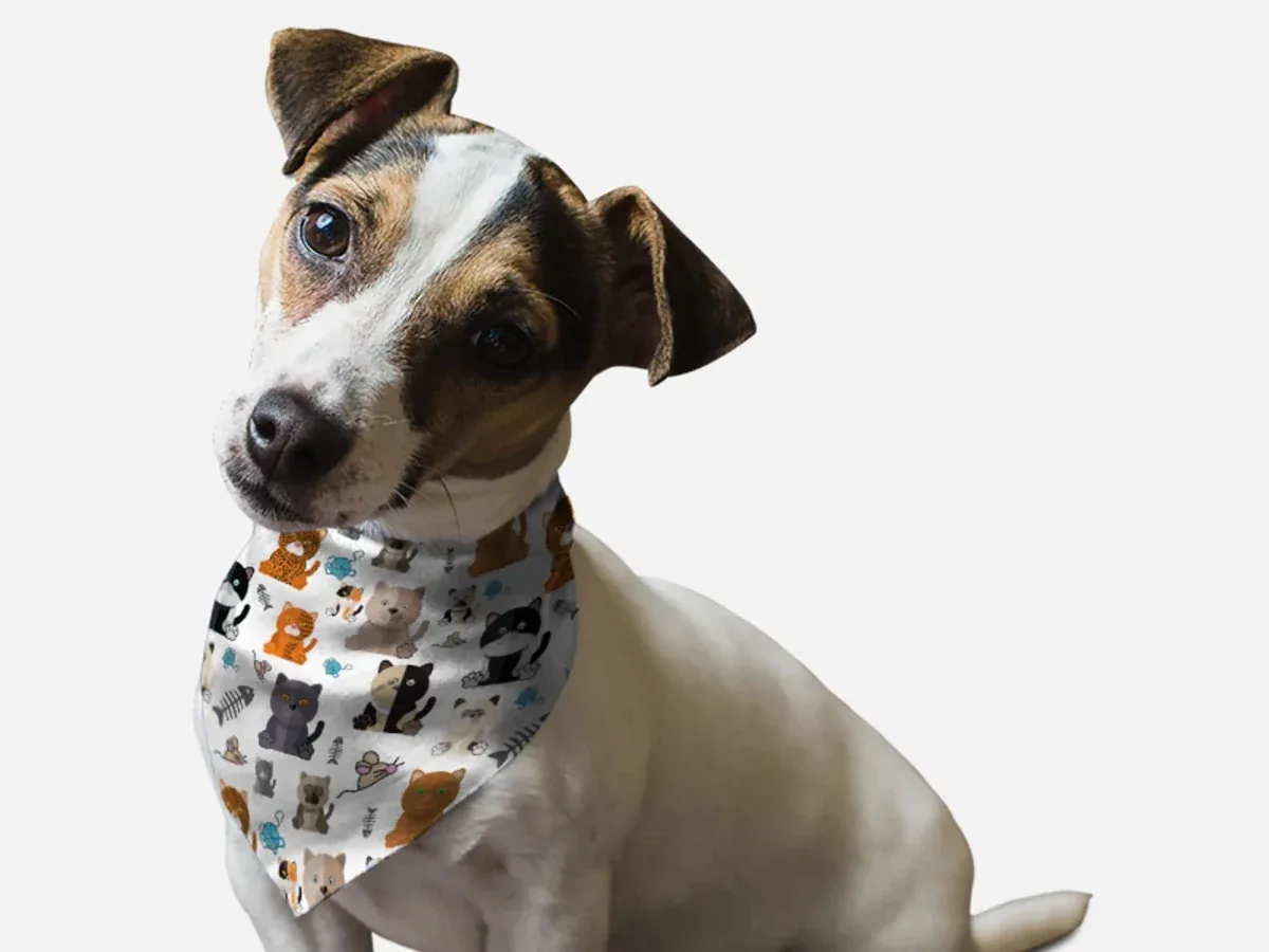 BanDoggie Tabby Dog Bandana - Fun Cat Print Microfiber Pet Bandana