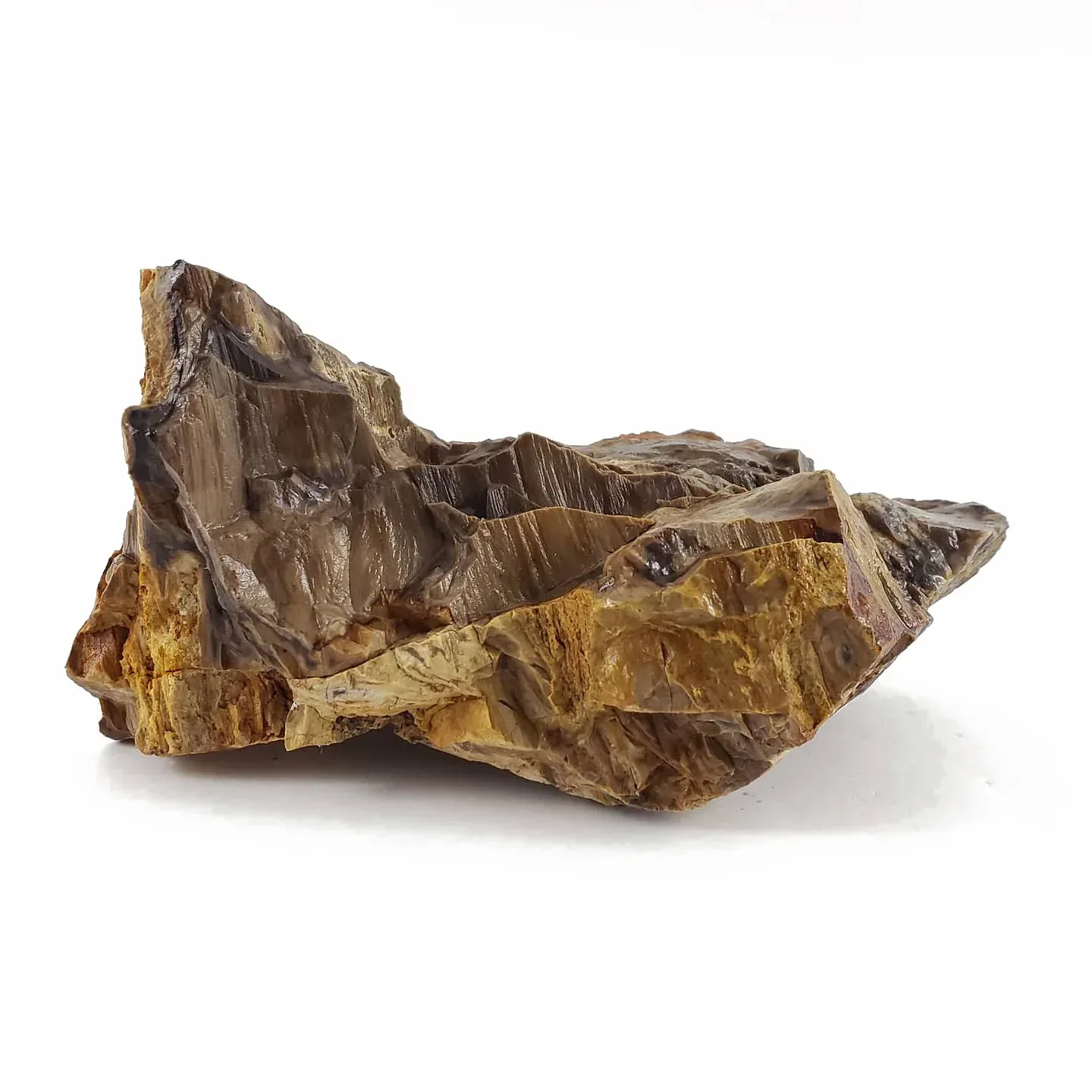 Canyon Petrified Stone Kit - Image 2