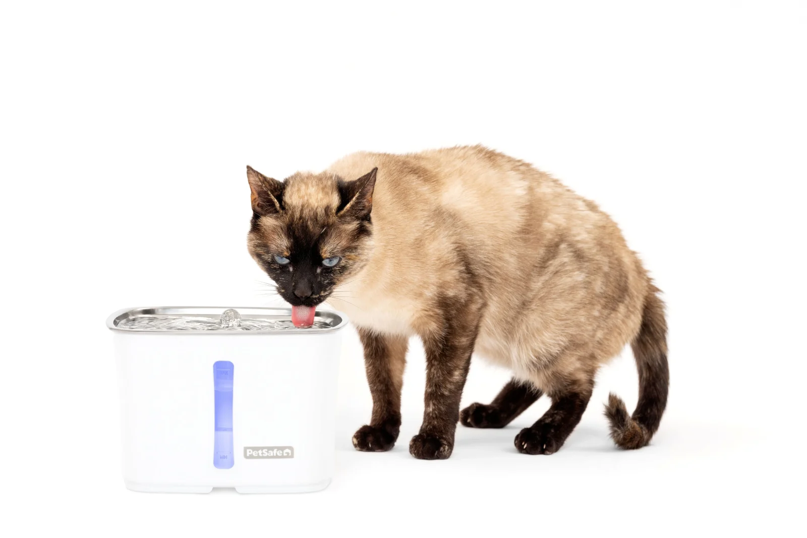 Viva™ Pet Fountain - Image 2