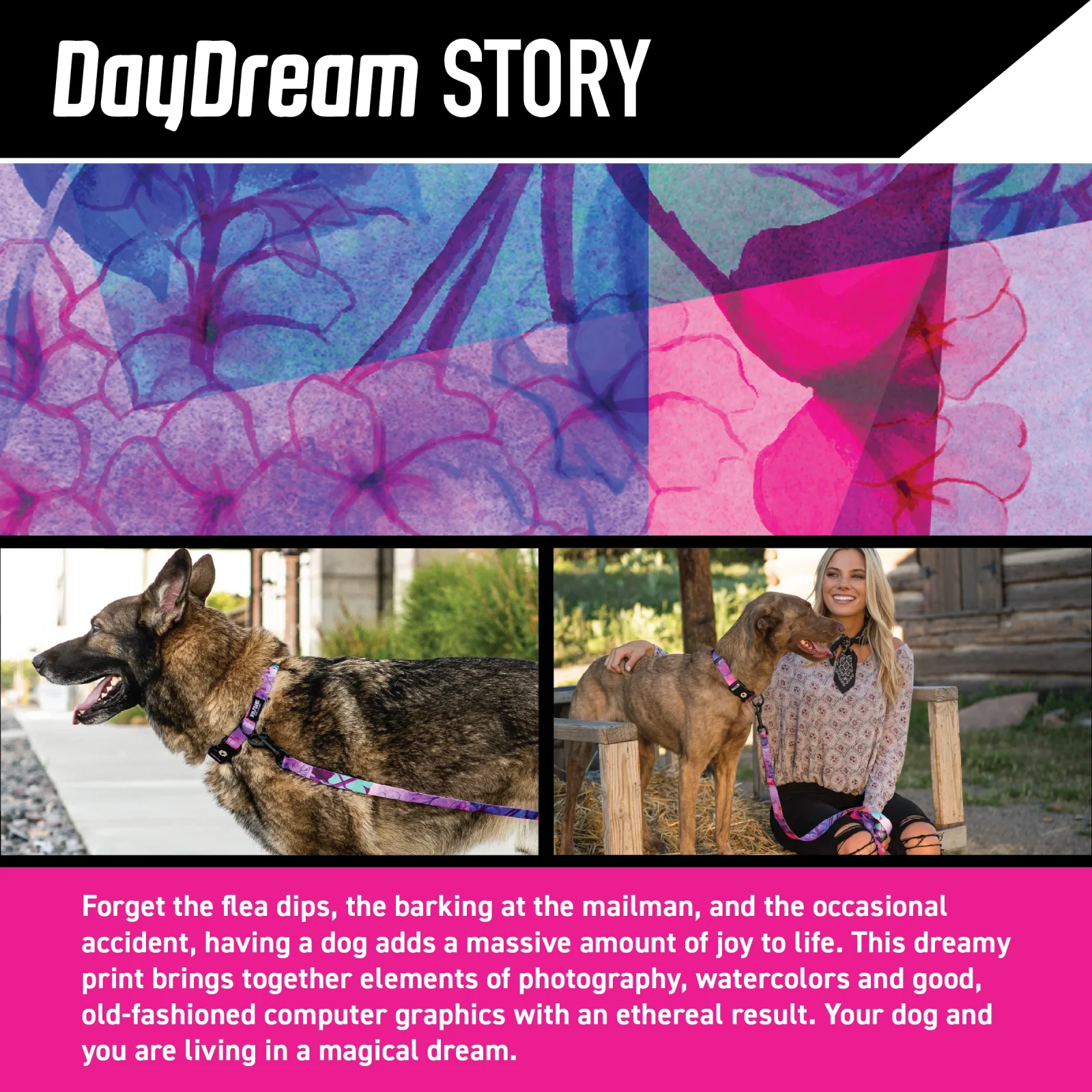 DayDream Dog Leash - Image 2