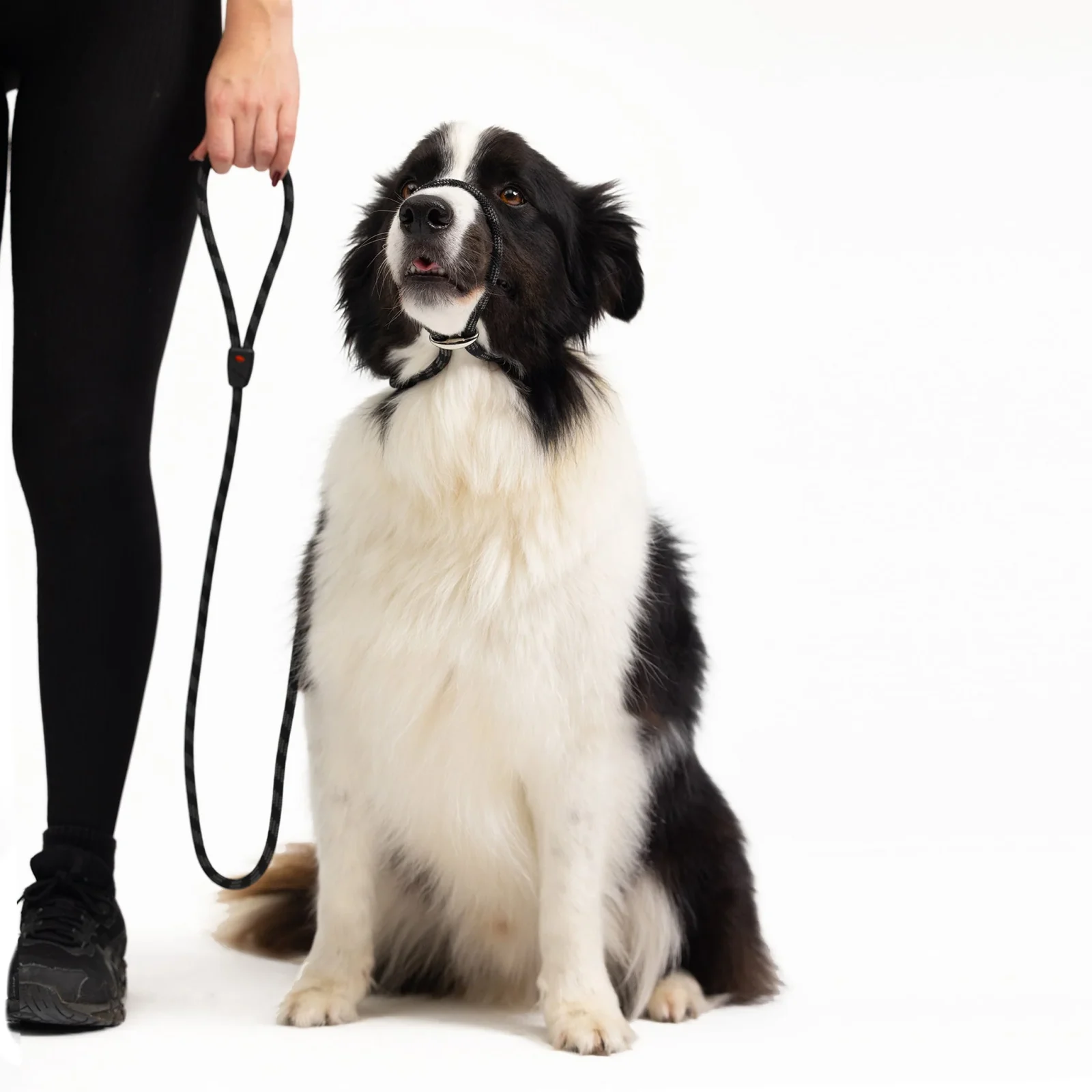 Luca™ Leash - Image 2