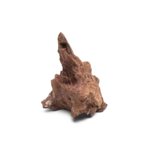 Driftwood Stump (Extra Extra Small)
