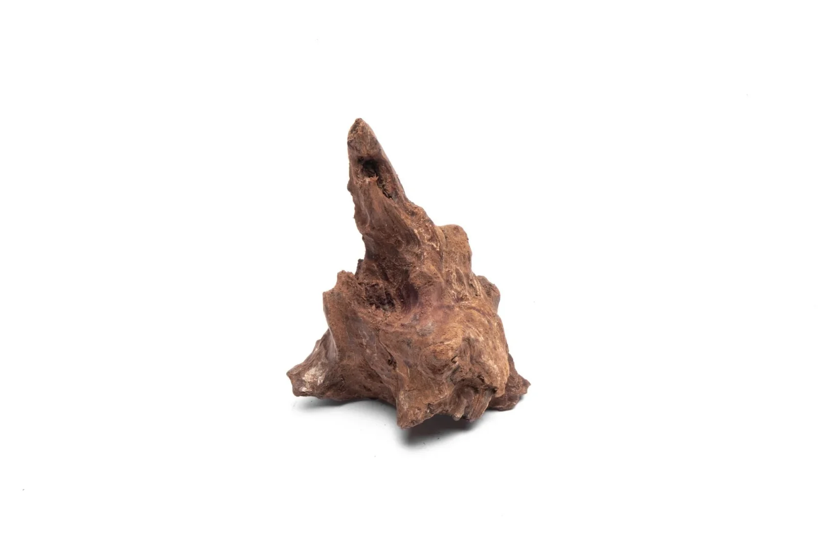 Driftwood Stump (Extra Extra Small)