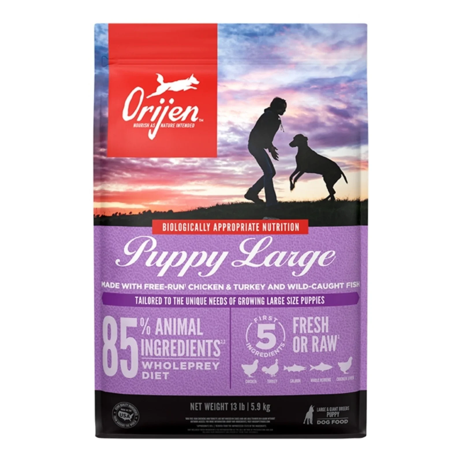 Orijen Dog USA Large Breed Puppy 13 lb