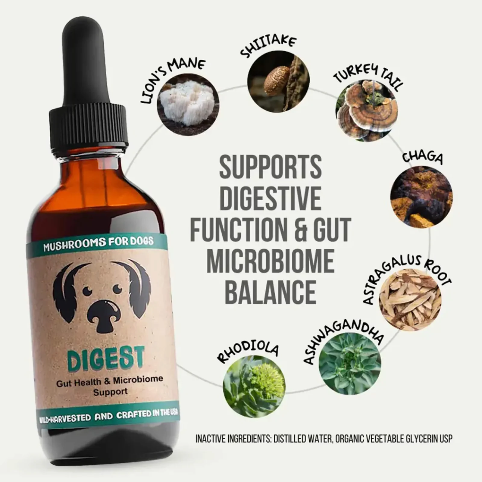 MycoDog Digest Liquid Gut Health Supplement for Dogs - Image 2