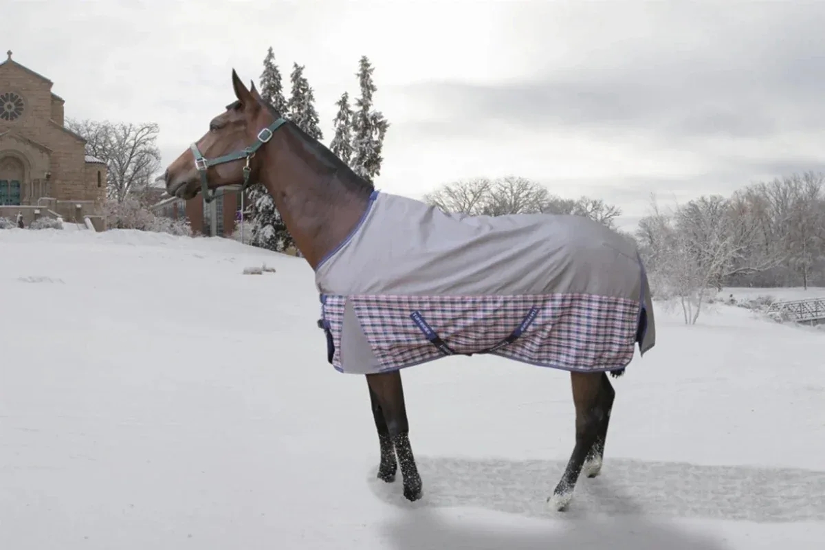 Horse Turnout Blanket - TuffRider Major 1200D Ballistic Medium Weight 220 g Standard Neck Plaid Blanket - Image 2