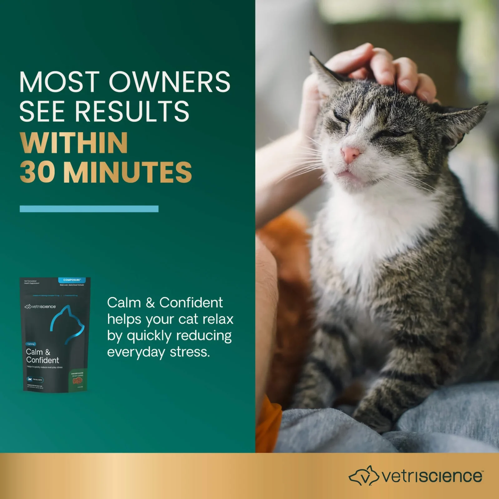 VetriScience Calm & Confident Cat Supplement Soft Chews - Image 2