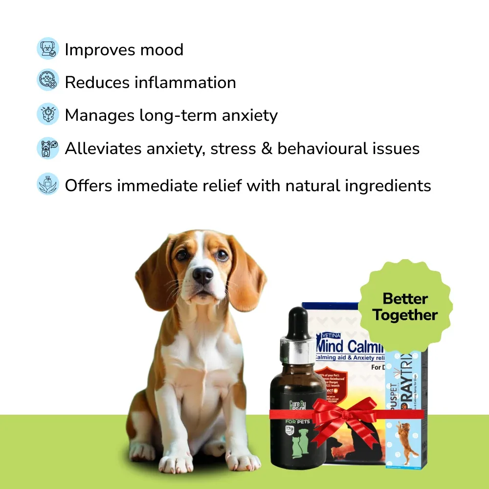 Anxiety Relief Combo Superkit for Dogs - Image 2
