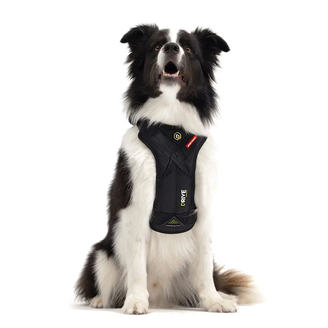 Drive™ Dog Car Harness - Image 2