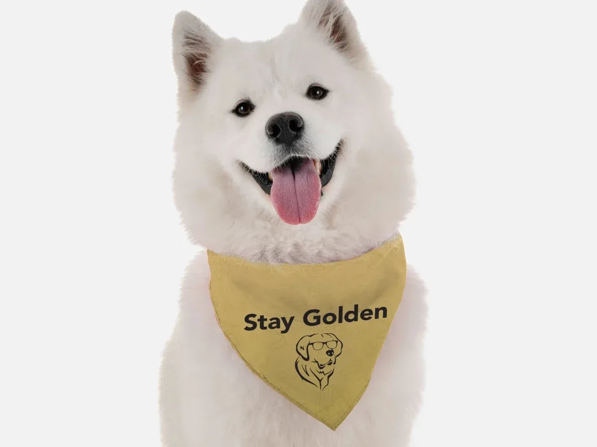 BanDoggie Stay Golden Funny Dog Bandana - Image 2