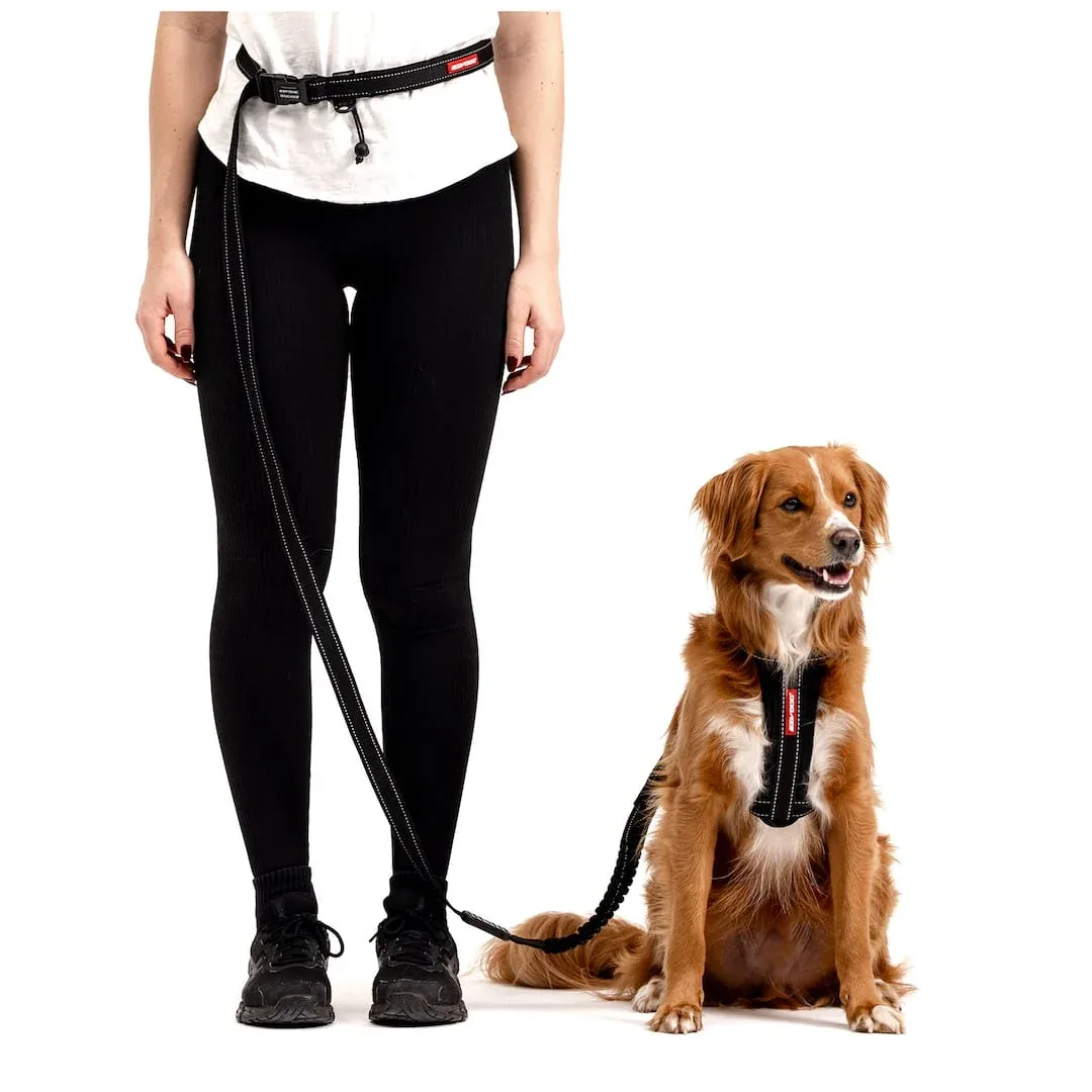 Road Runner™ Leash - Image 2