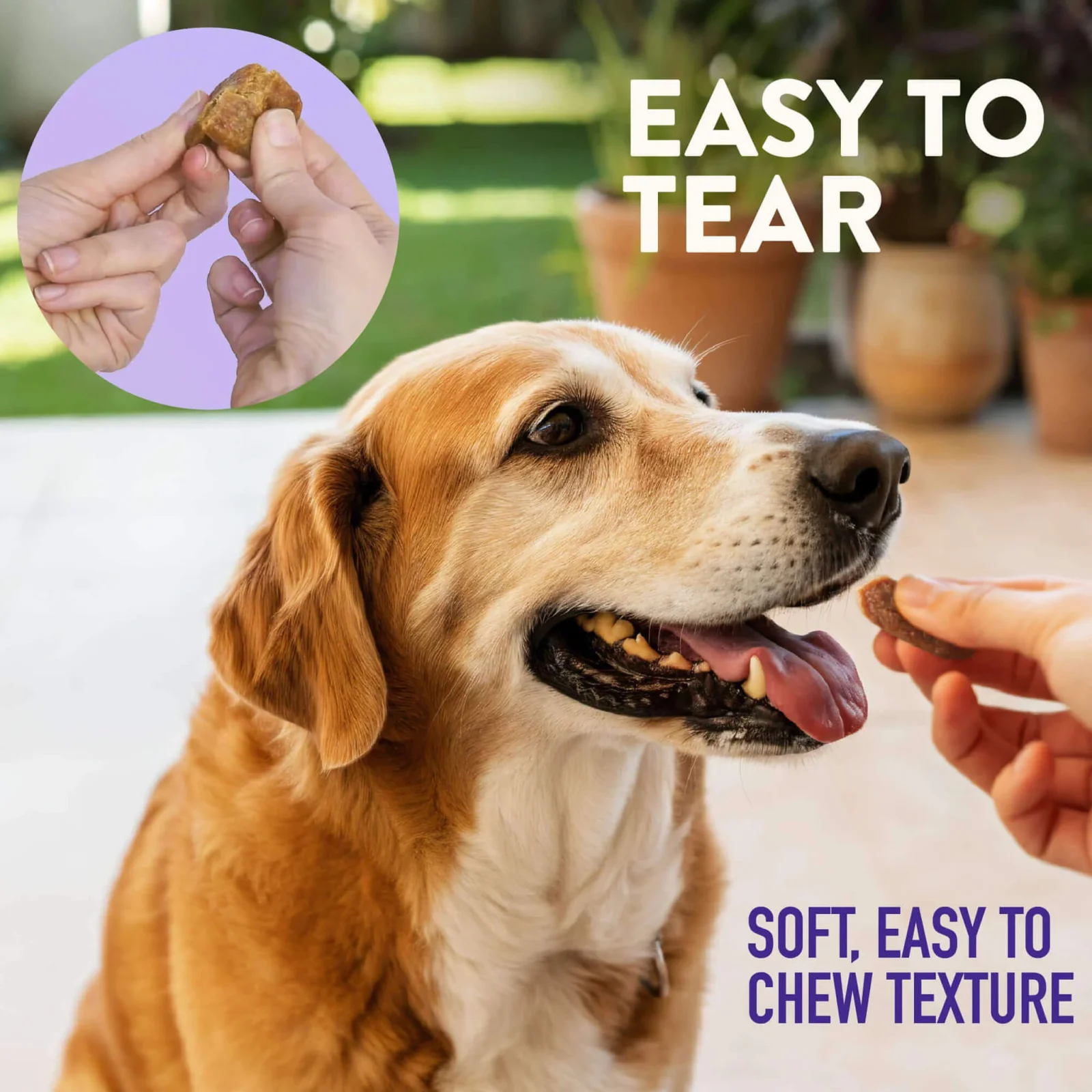 Dogswell Senior Health Mini Soft Strip Jerky Treats for Dogs - Image 2