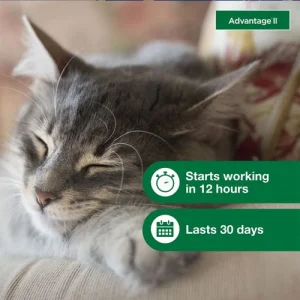 Advantage® II for Cats