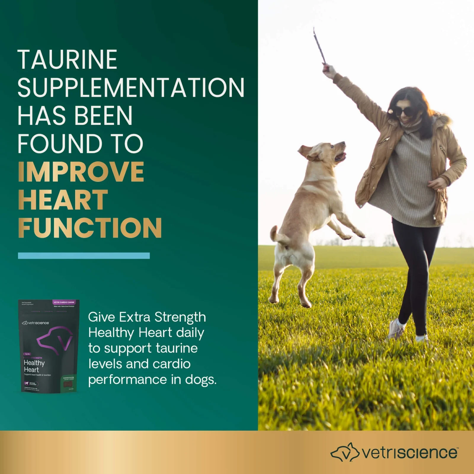 VetriScience Extra Strength Healthy Heart Supplement for Dogs - Image 2