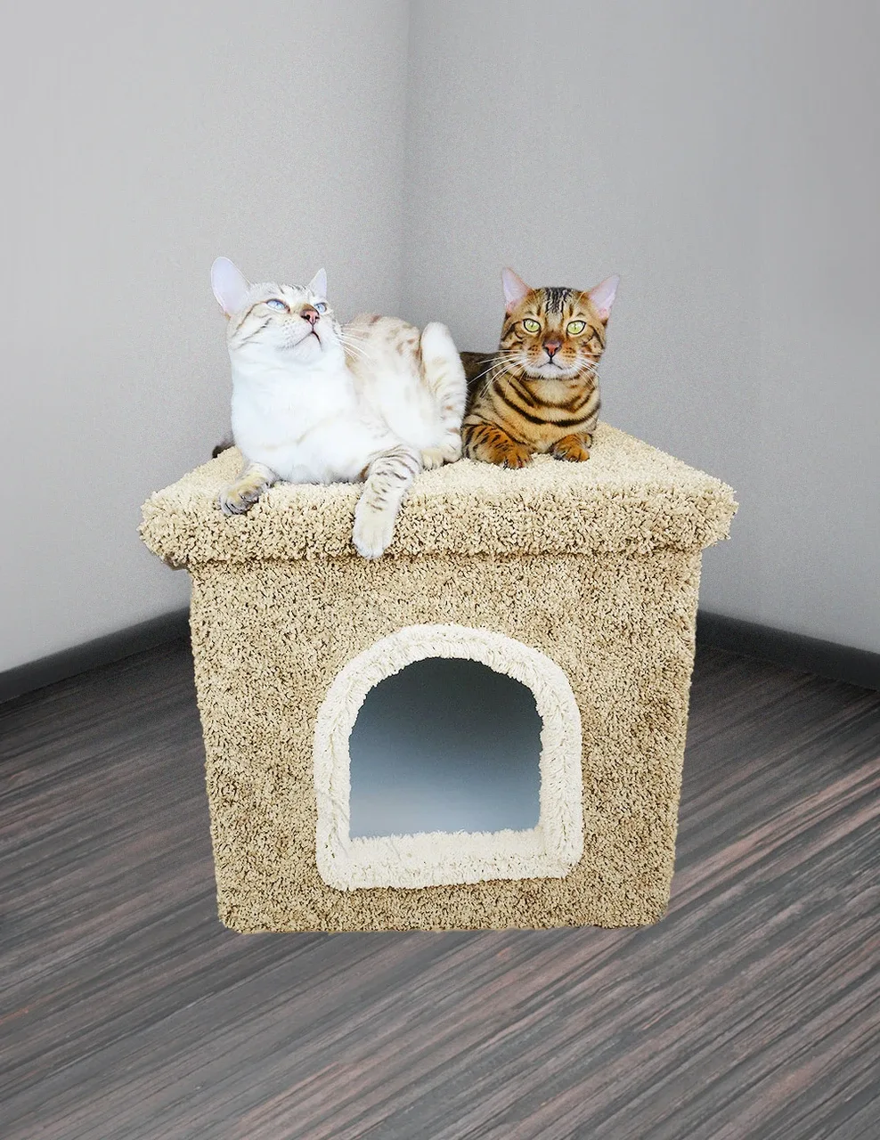 Premier Litter Box Enclosure | Extra Large Hidden Cat Litter Box Furniture