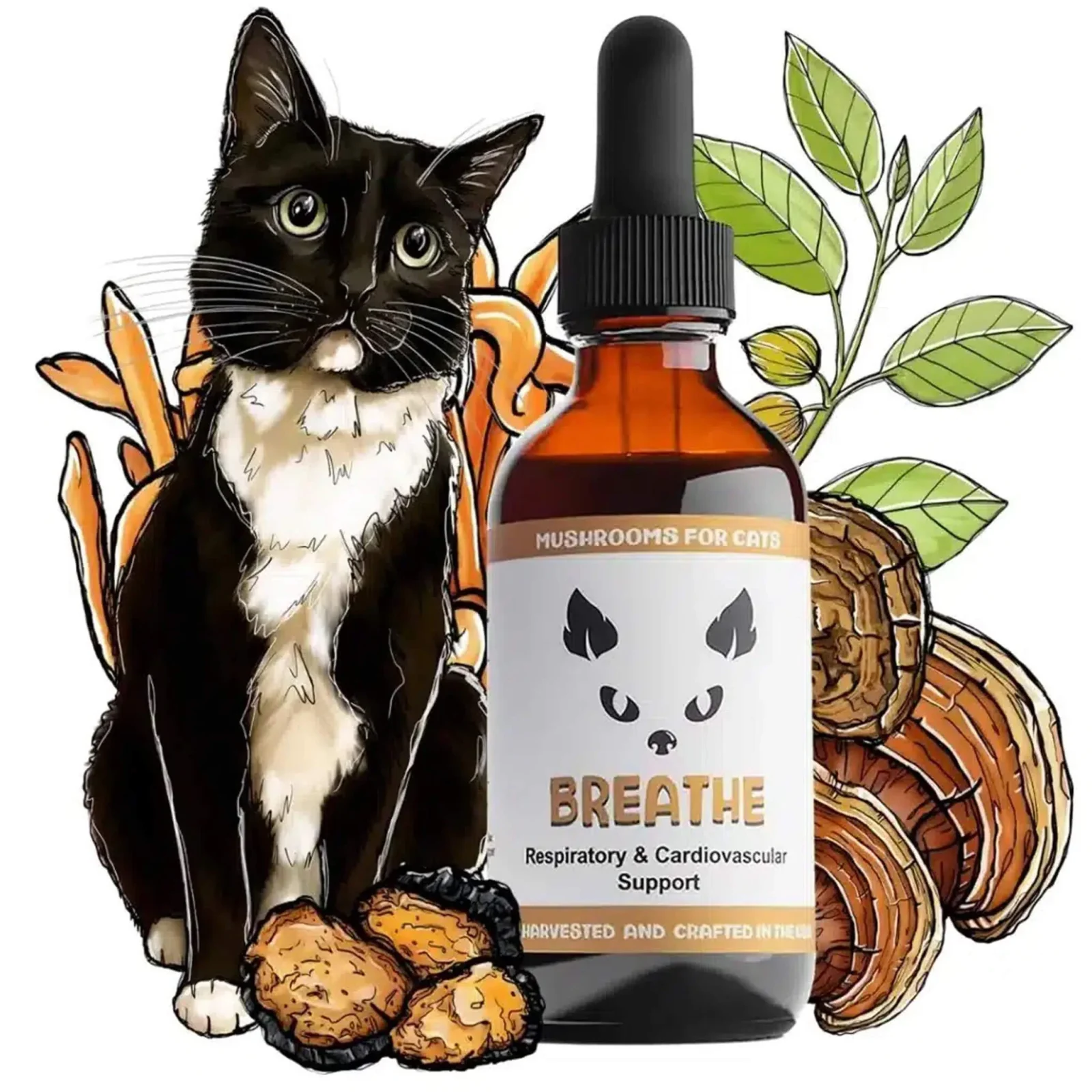 MycoDog Breathe Liquid Respiratory & Cardiovascular Supplement for Cats - Image 2