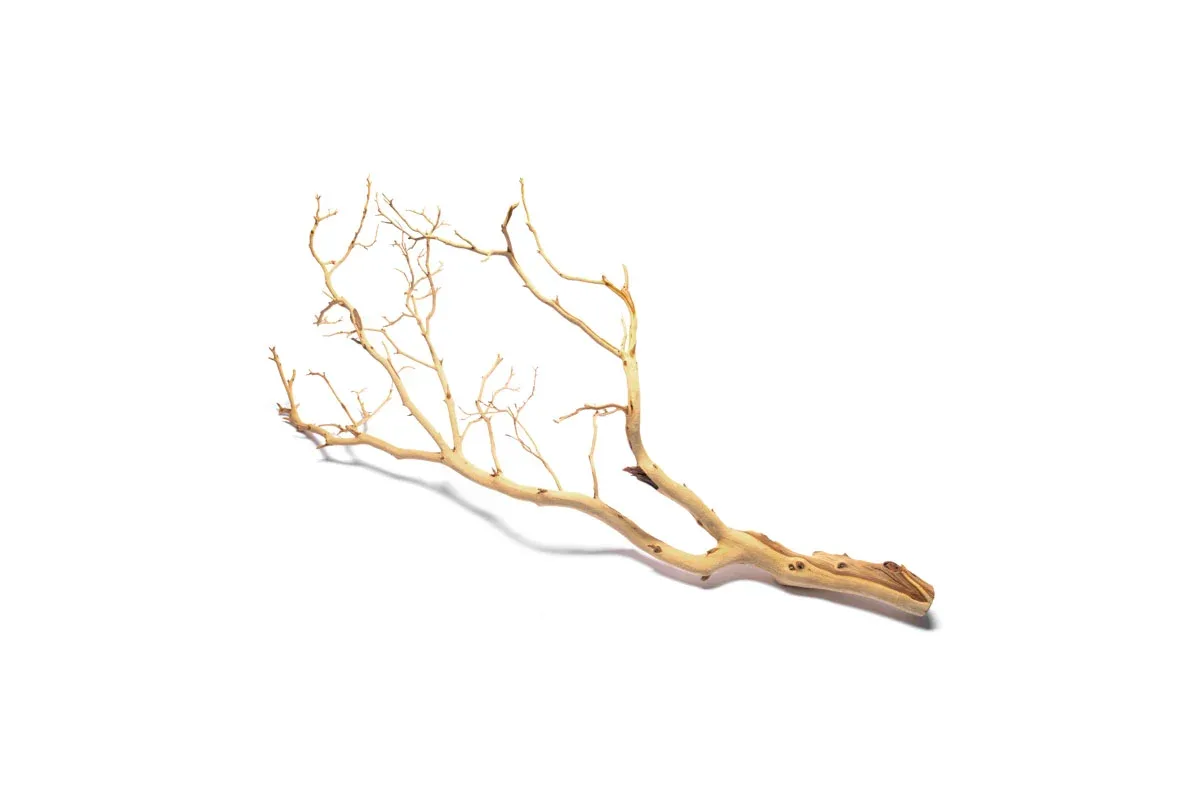 Manzanita Driftwood (Sandblasted)