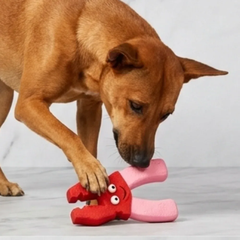 Skatrs Pliers Latex Chew Toy for Dogs (Pink) - Image 2