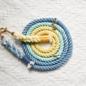 Hands-Free Dog Rope Dog Leash - Dawn