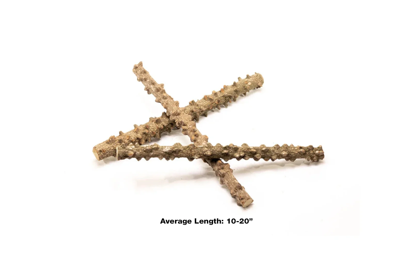 Blistered Driftwood Sticks - Image 2